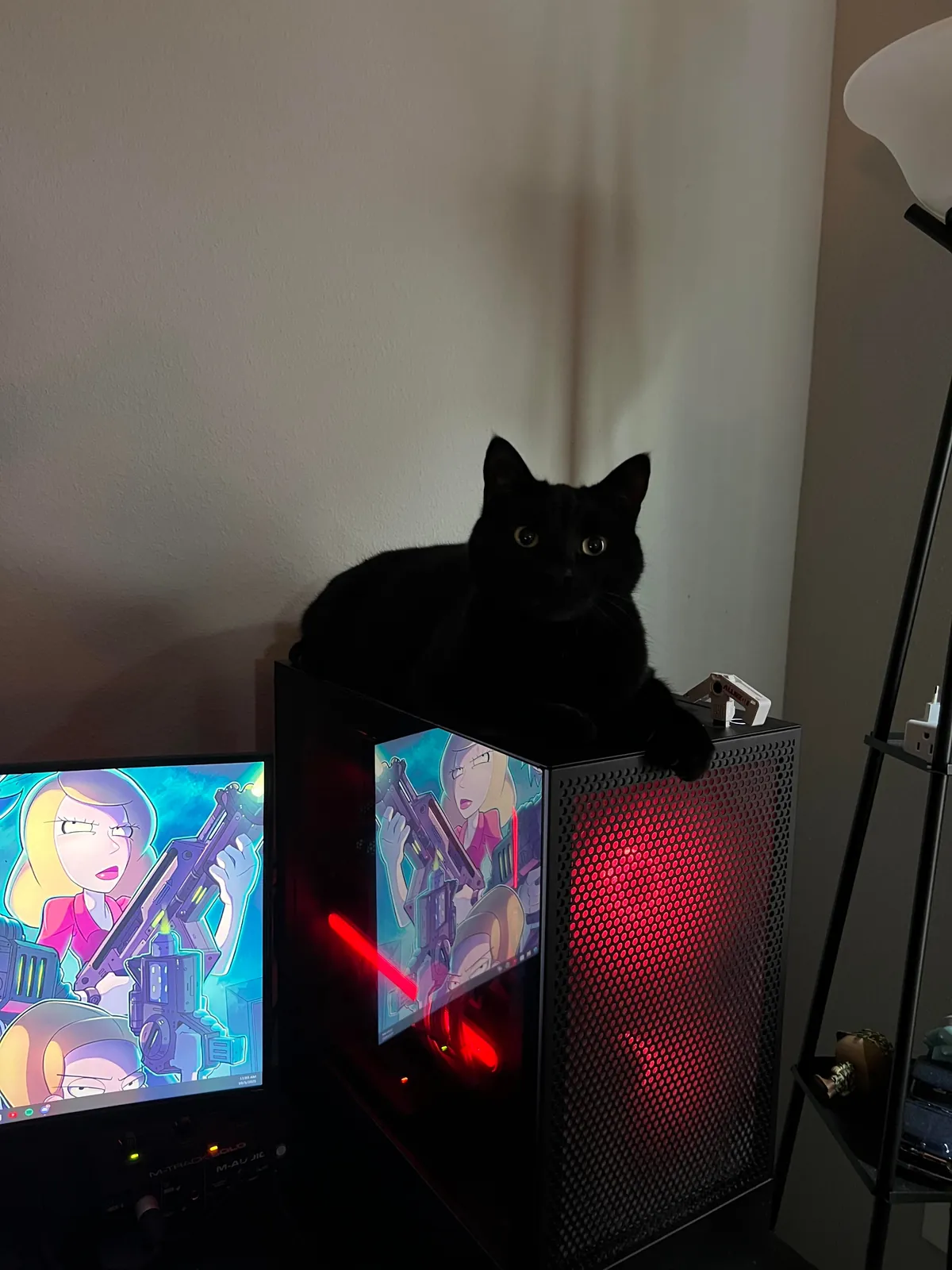 Why can’t he meow?