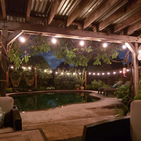 My backyard at night.