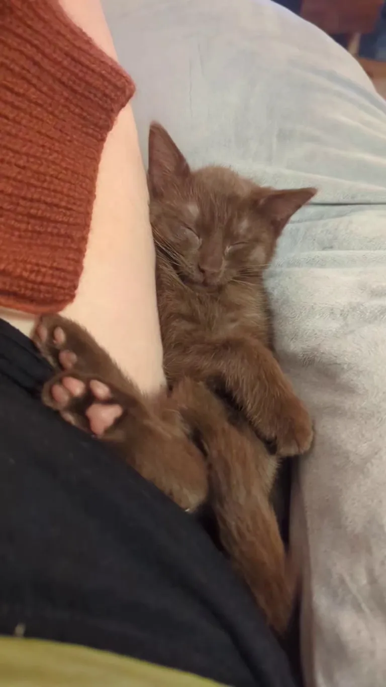 Please appreciate her adorable pink toe beans with me