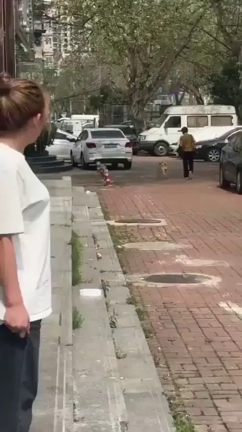 Doggo making everyone smile