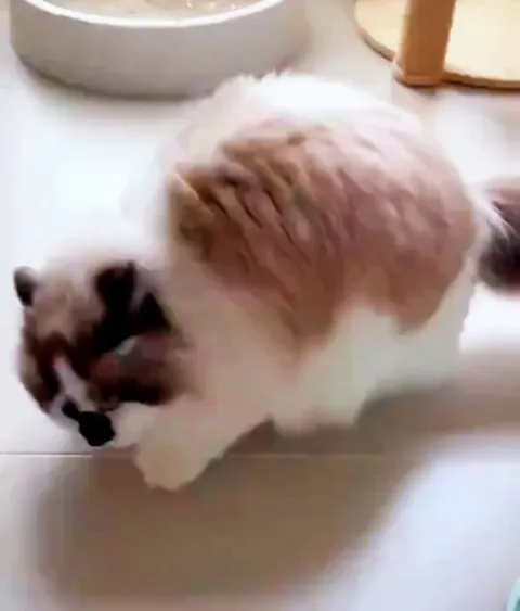 What is she doing? 😂