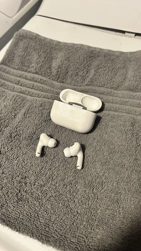 Bought myself AirPods as a gift for 9 months sober. Accidentally left them in my pocket and ran them through the washer.