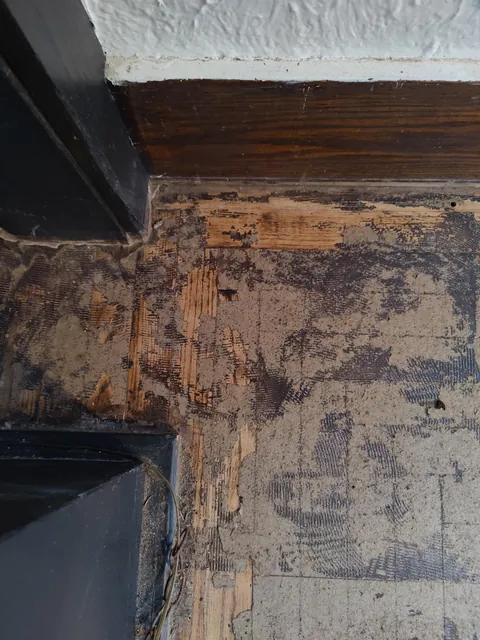 Restored 1916 hardwood floor Midwest