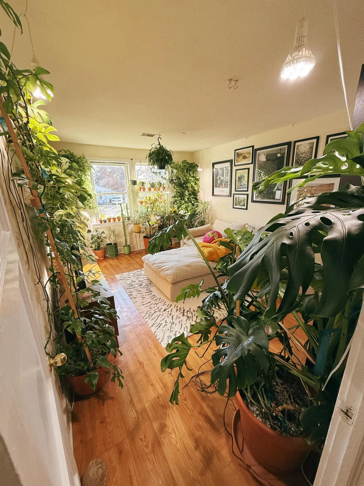 My cozy plant-filled apartment in Alabama (I’ve been told!)