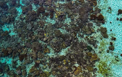 I returned to New Guinea, to a very remote atoll for a month long trip, living off the ocean.