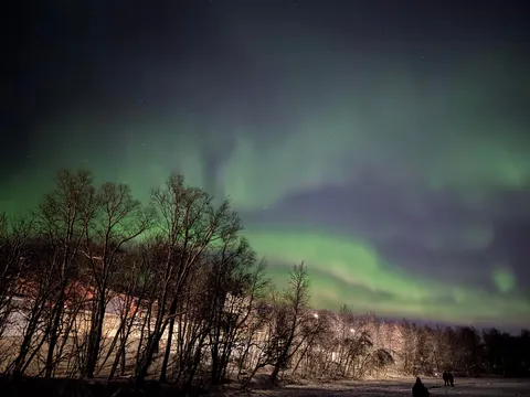 Saw the northern lights for the first time in Tromso, Norway