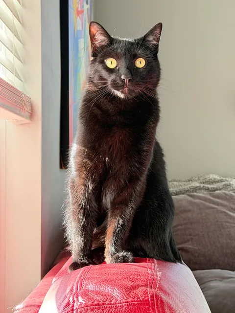 It Feels Like You Blink—Then Suddenly They’re Full-Sized!