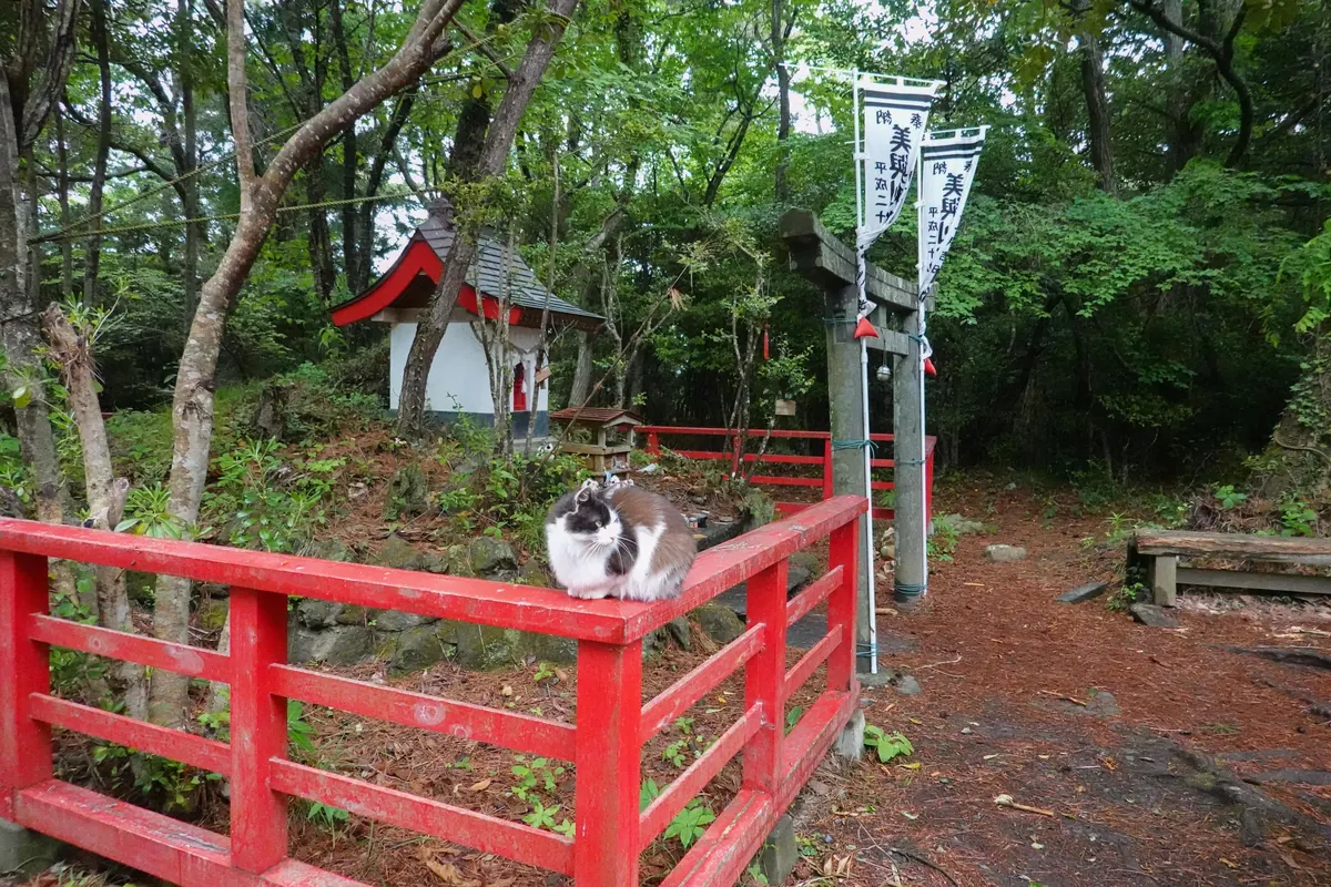 In 2024 I visited 16 different countries. Here is my favourite photo from each!