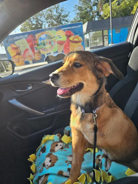 After going through a tough time, I made the best decision. Reddit, meet Treble