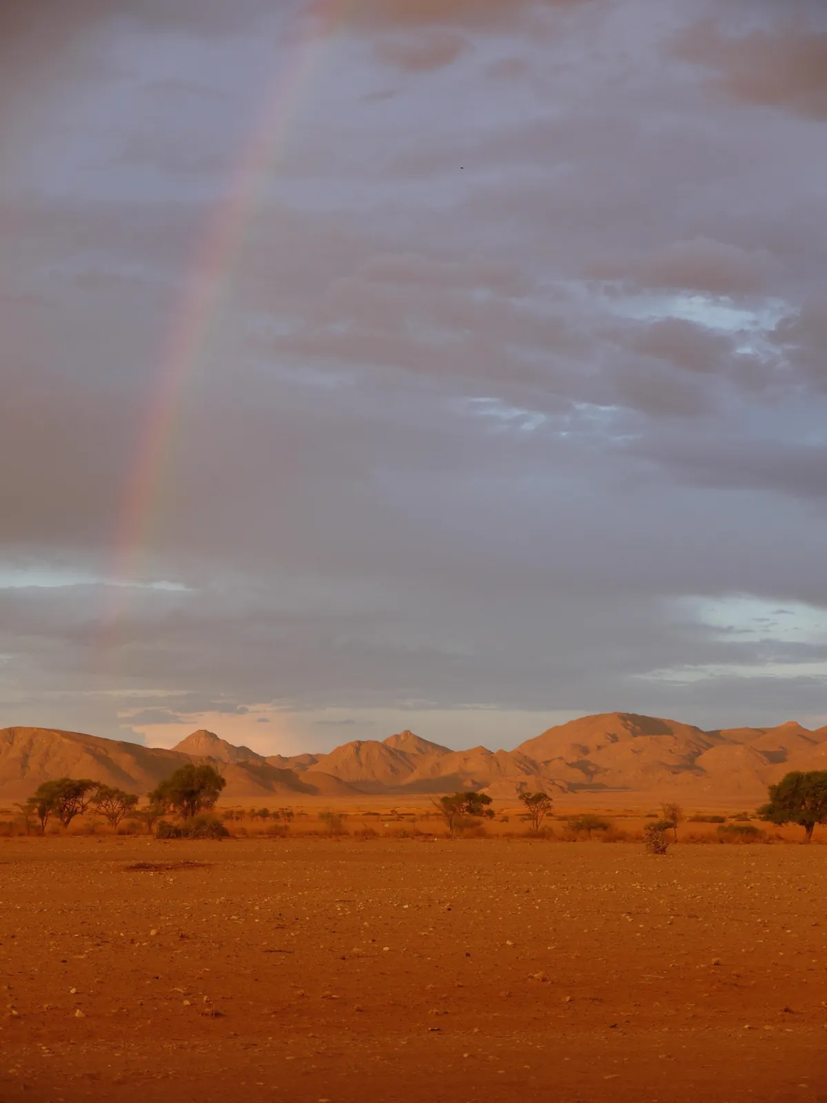 5 days in Namibia