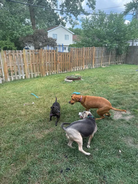 One last Waffles update here!🩷