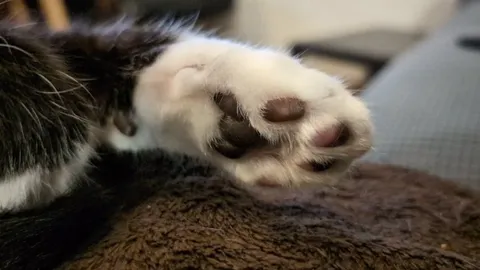 He lets me massage the beans sometimes...