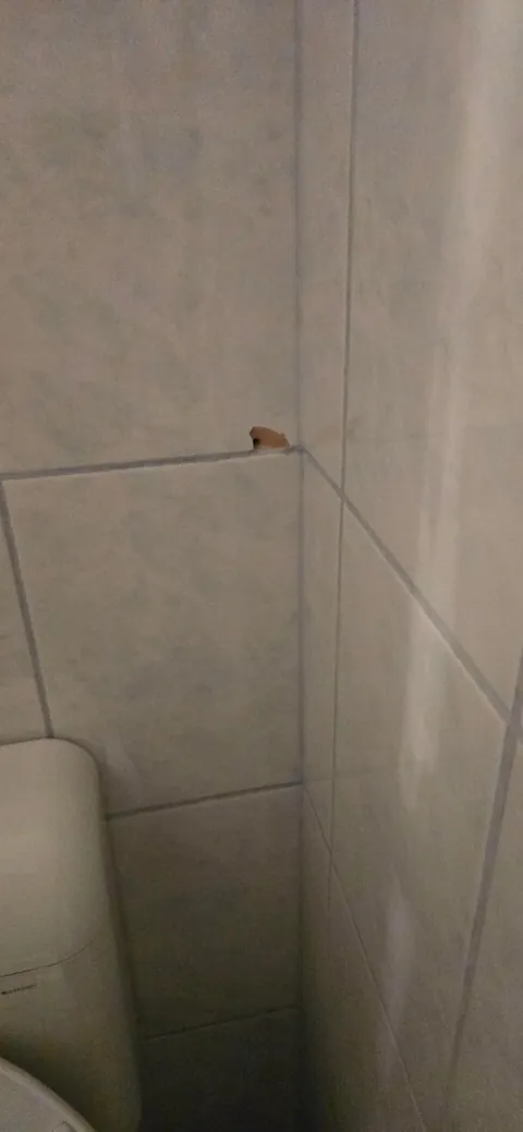 Neighbors drilled my wall... TWICE