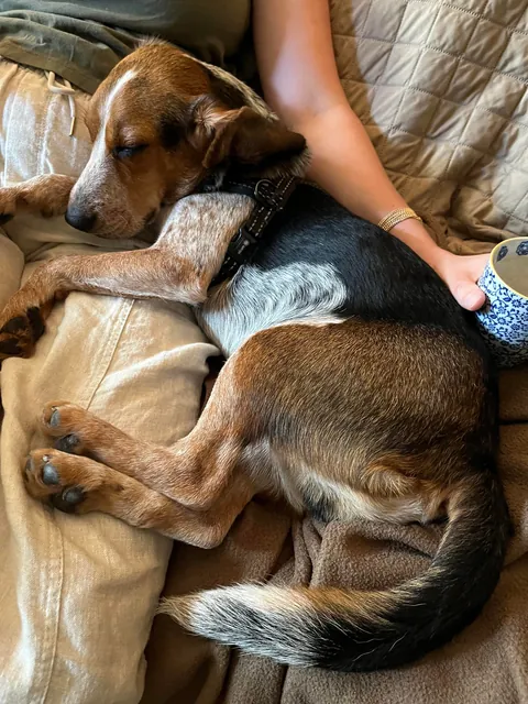 First week being officially ours ❤️