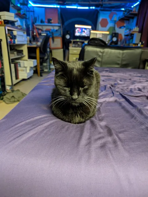 My 18 year old, needy senior.