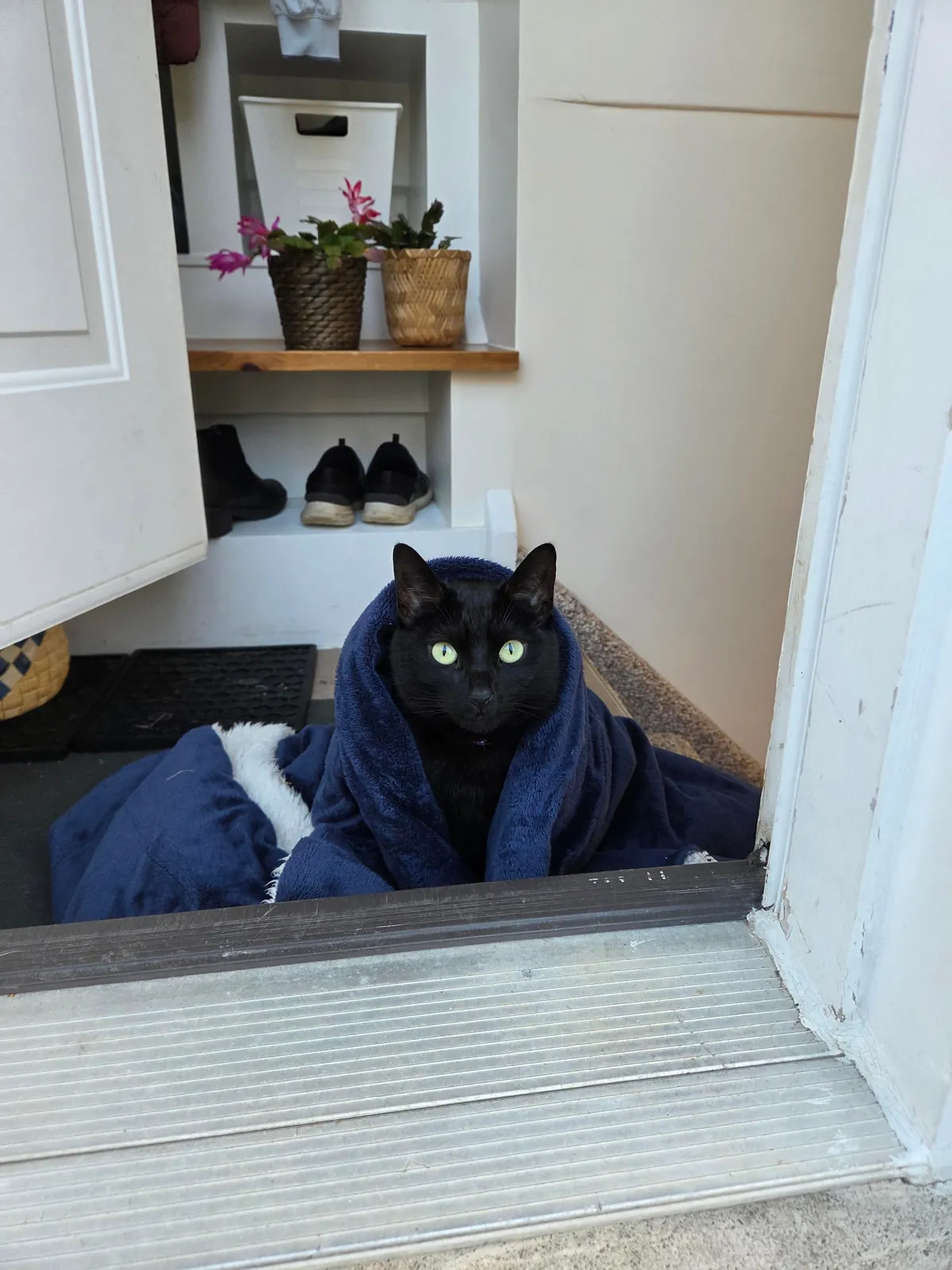 When "hunting" is life, but it's cold outside