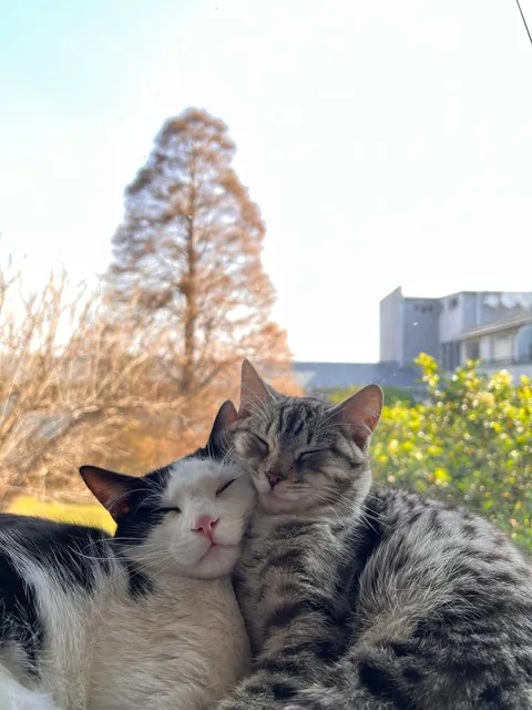 These guys have only known each other a few weeks