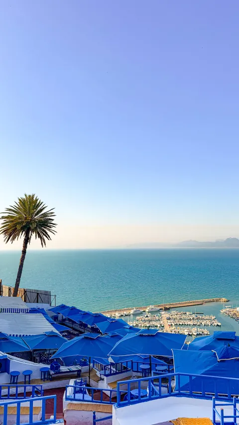 A week in Tunisia 🇹🇳