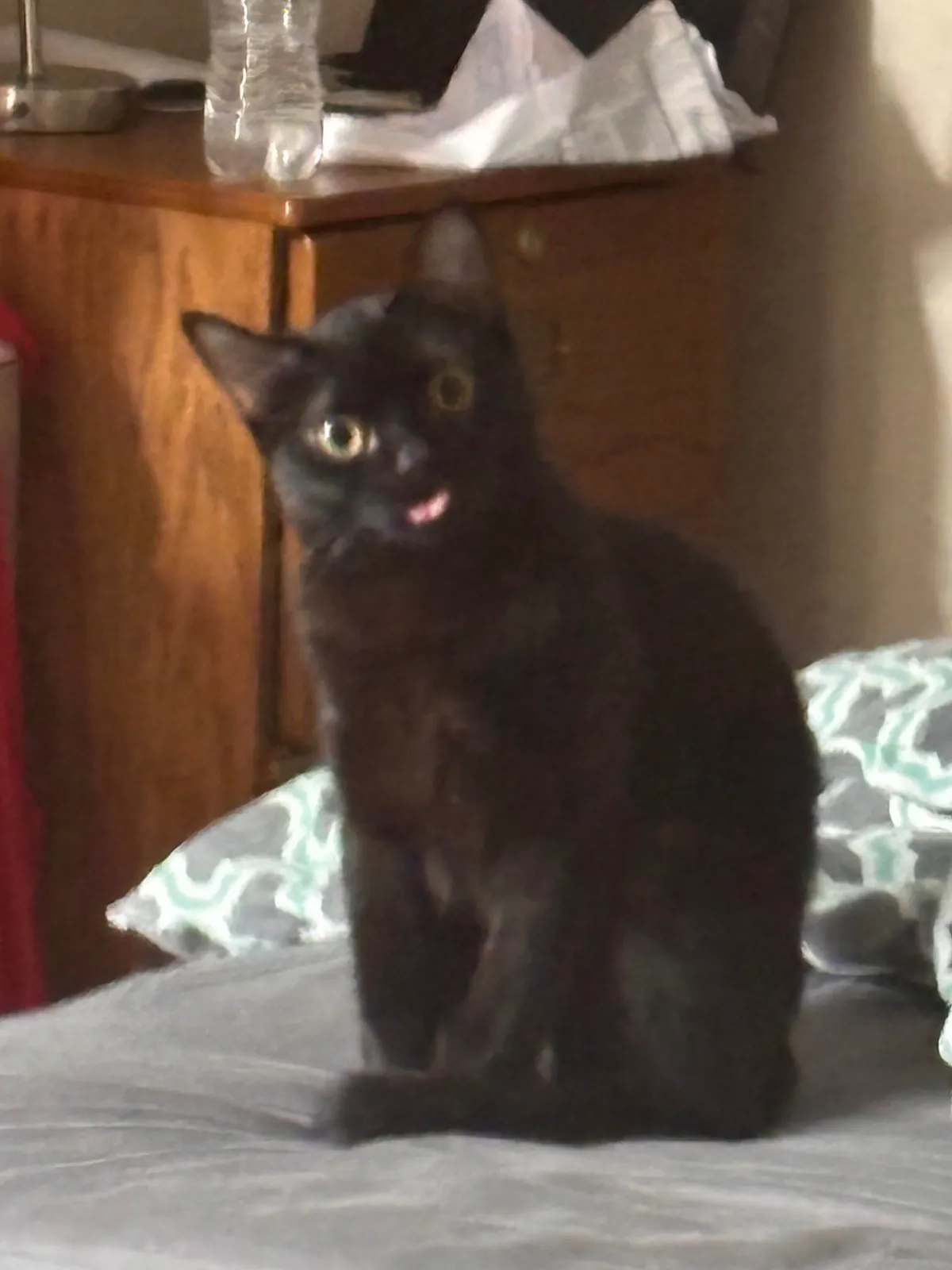 I found Jenny staring into blank space and doing this :P Is she okay?