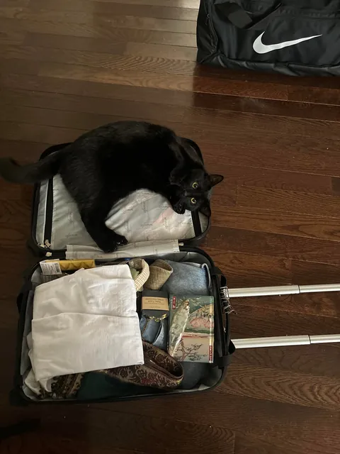 My sweet guy Wedgie turned 1!