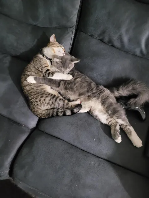 We a have something to learn from them