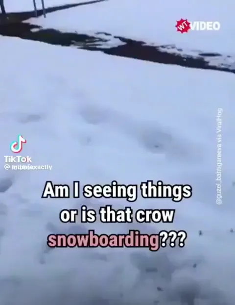 Crowboarding