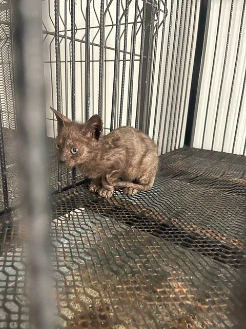 How it started vs how it’s going