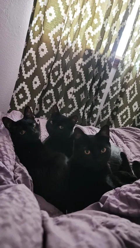 Woke up to 3 out of 5 voids next to me