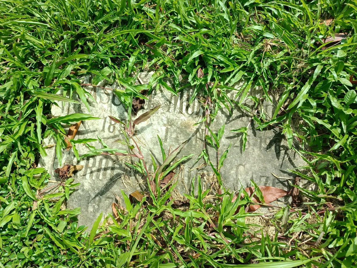 Forgotten graves in our cemetery