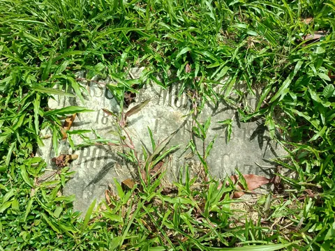 Forgotten graves in our cemetery