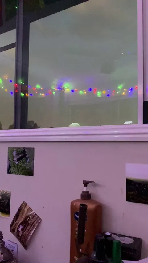 You can see it when you look out your window..