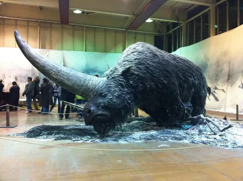Elasmotherium (Siberian unicorn), extinct over 35000 years ago