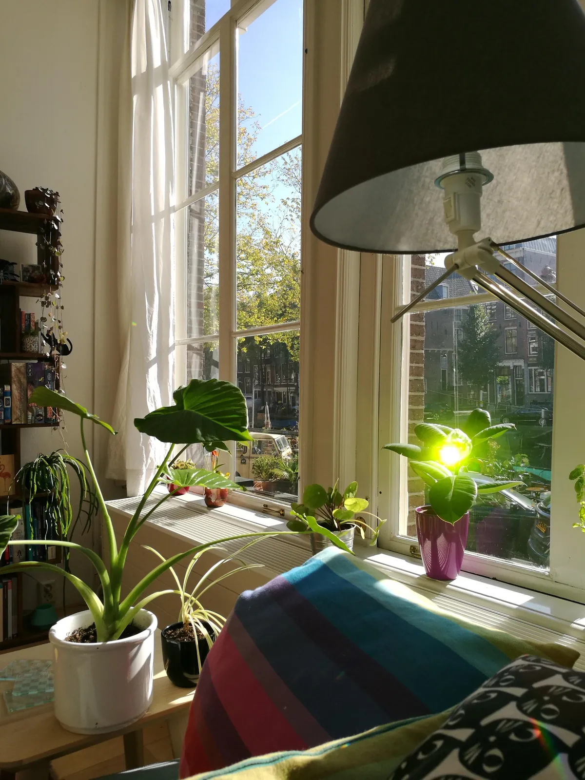 My (tiny) apartment at on of the canals in Amsterdam