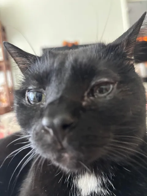 She loves to smell people breaths as a greeting