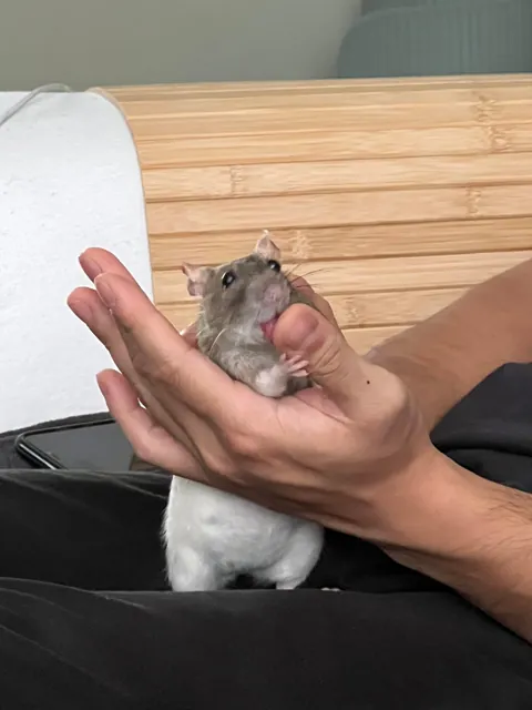 Must clean the fingers