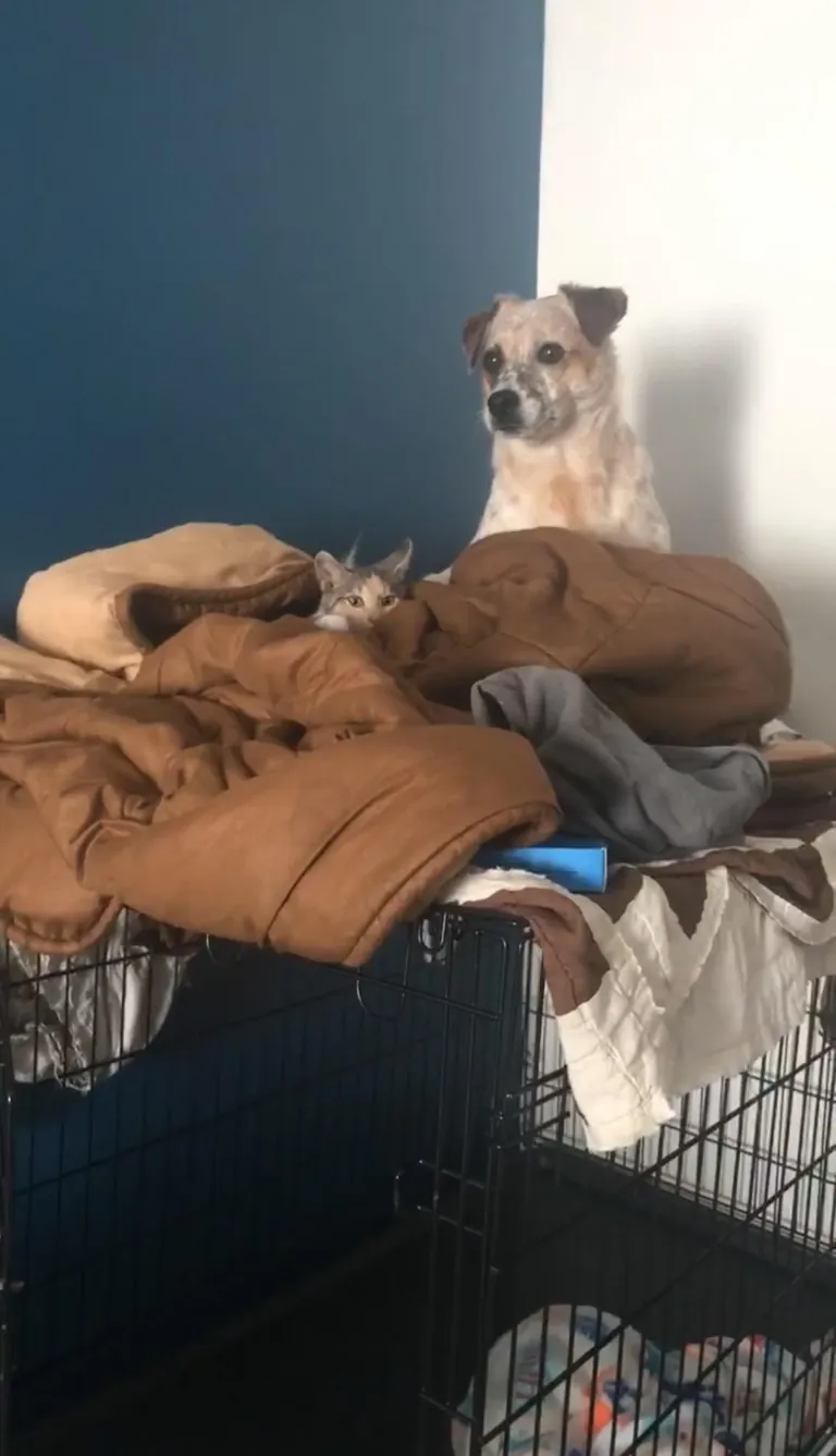 More pictures of Chief being unapologetically himself