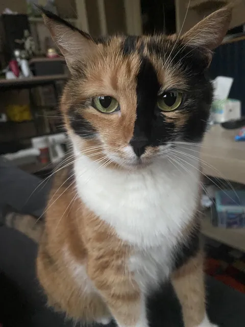 her dinner is 5 mins late