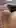 I just need your opinion to decide… do I shave it or leave it like this?