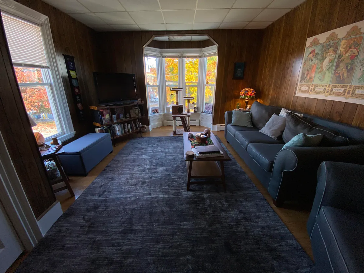 My living room in the only apartment I’ve ever had by myself.