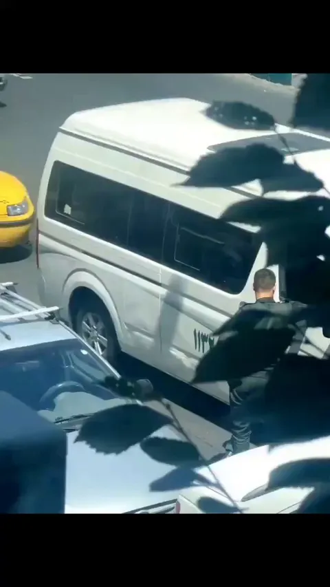 Woman in Iran gets taken captive for her hair color