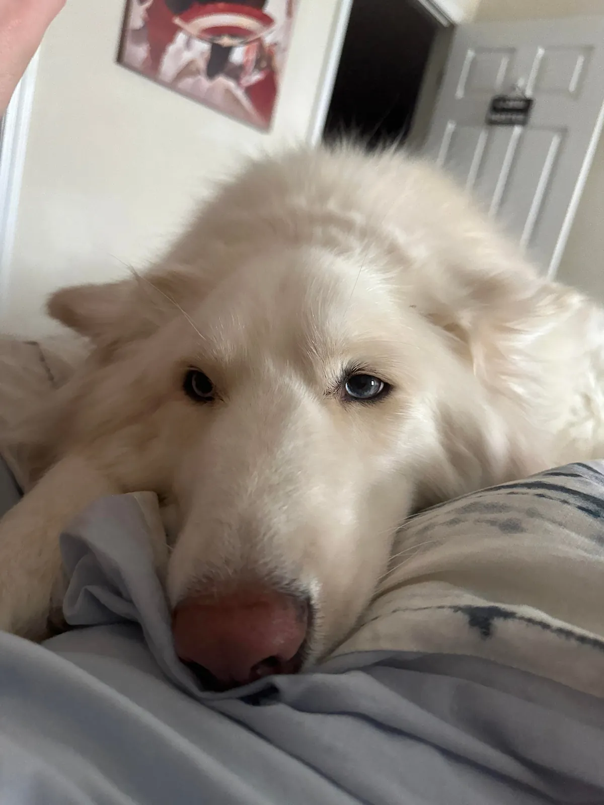 I promise she’s real!!