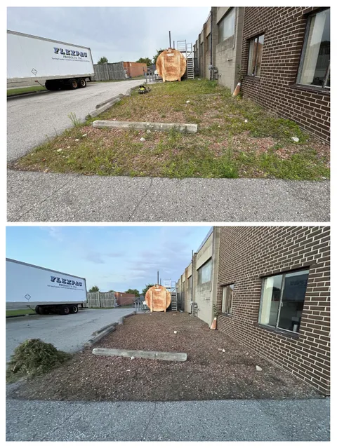 Before/After of the weeds I pulled out of these rocks by hand today