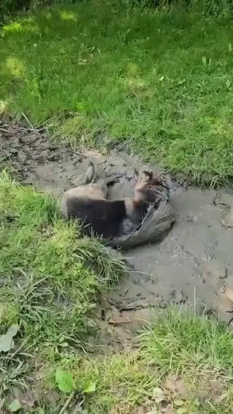 he's having the best day ever 😂😂