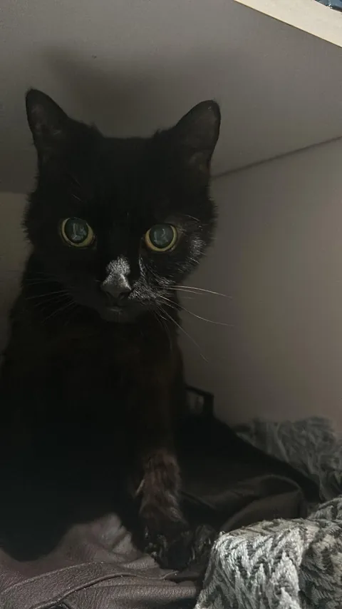 my darling boy of 18 years lost today. I love you