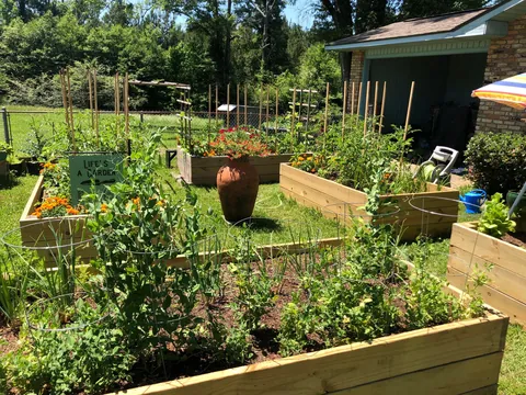 My Wife's Raised Bed Garden Over the Years