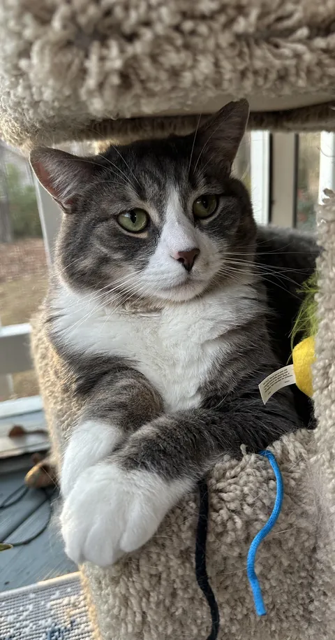 I think he’s beautiful 🥺