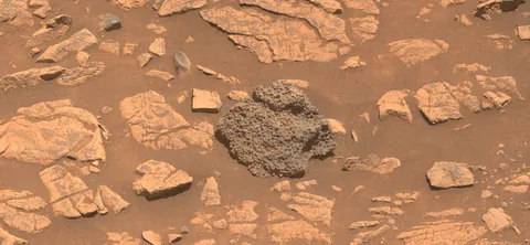 Bubbly botryoidal rock imaged on the surface of Mars this week by the Perseverance Rover.