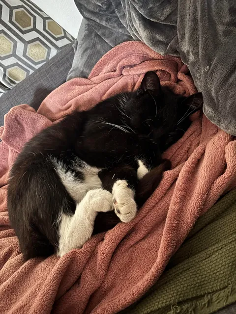 Broke in last night - Woke up to him sleeping beside me