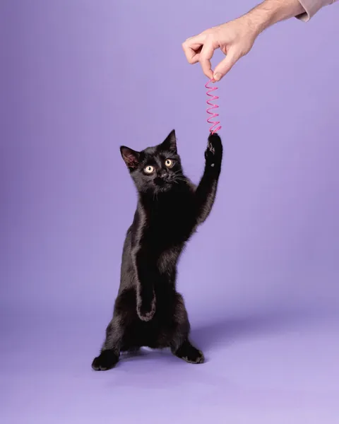 Look who's got a nice photoshoot