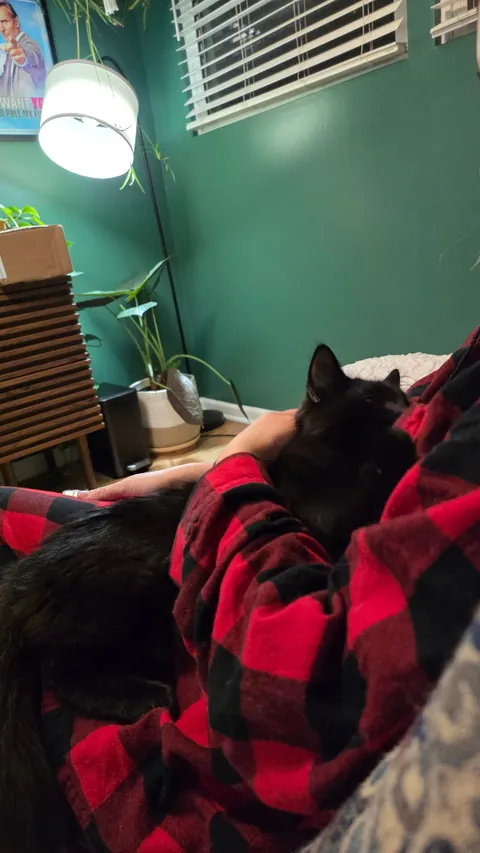 Wanted to show off my son